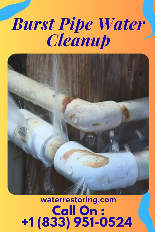 Burst Pipe Water Cleanup in McConnell, WV