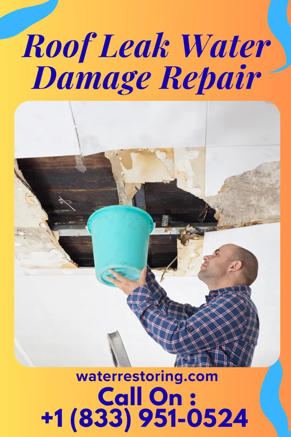 Roof Leak Water Damage Repair in McConnell, WV