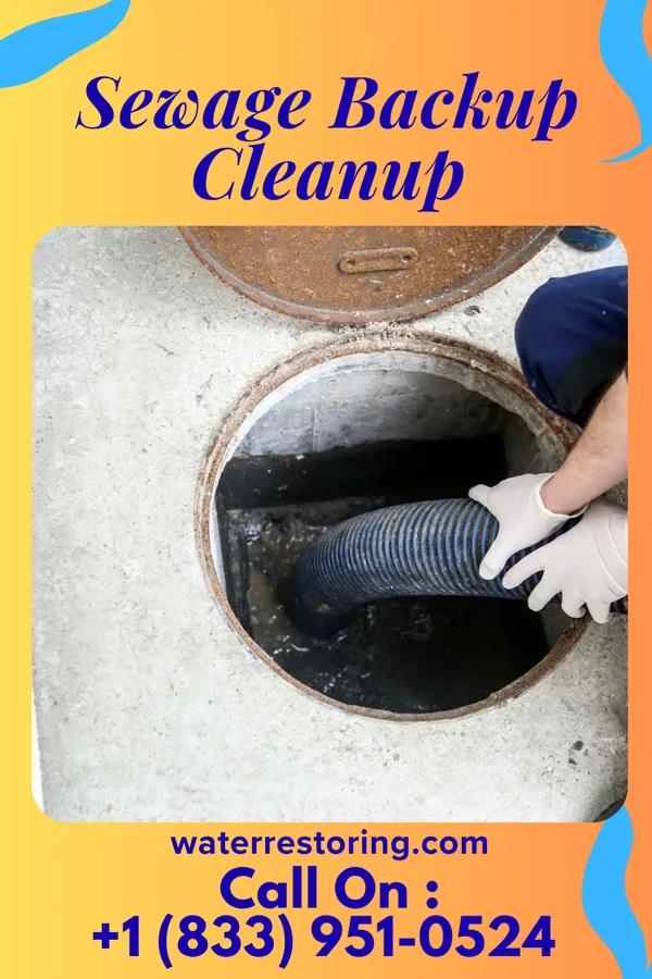 Sewage Backup Cleanup in McConnell, WV