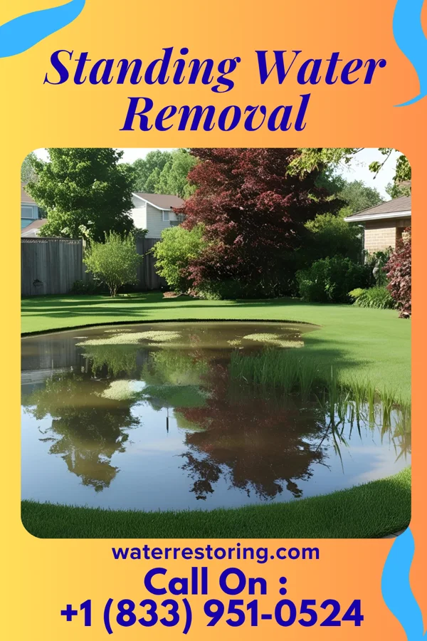 Standing Water Removal in McConnell, WV